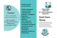 Logo for Penny Popa Logo for Penny Popa